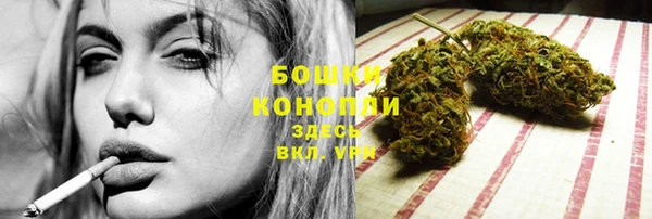 ПСИЛОЦИБИНОВЫЕ ГРИБЫ Сатка