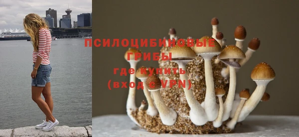гидра Сафоново