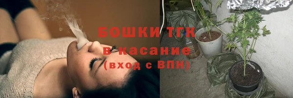 винт Абаза