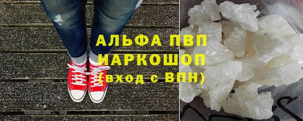 винт Абаза
