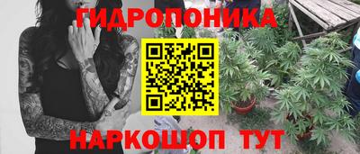 стафф Кимры