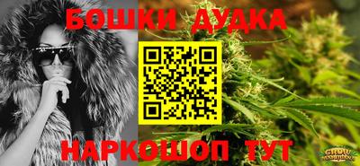 дурь Кингисепп