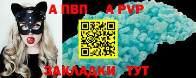 дурь Кингисепп