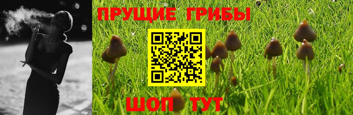 Псилоцибиновые грибы мухоморы Лангепас