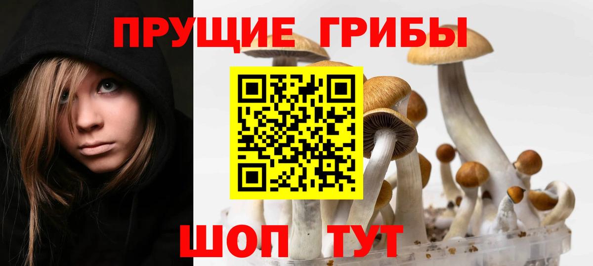 Лангепас  где продают наркотики  Вход с VPN  Псилоцибиновые грибы Psilocybe 